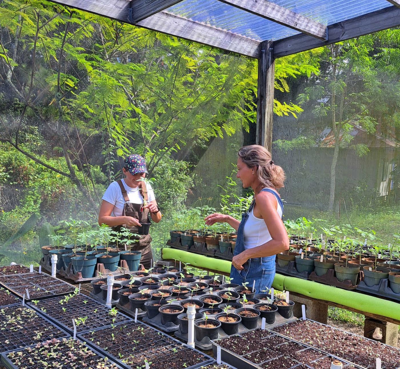 Sarah and Laurie tending seedlings in the nursery