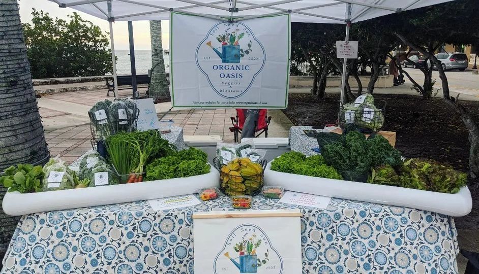 The Organic Oasis booth at a farmers market