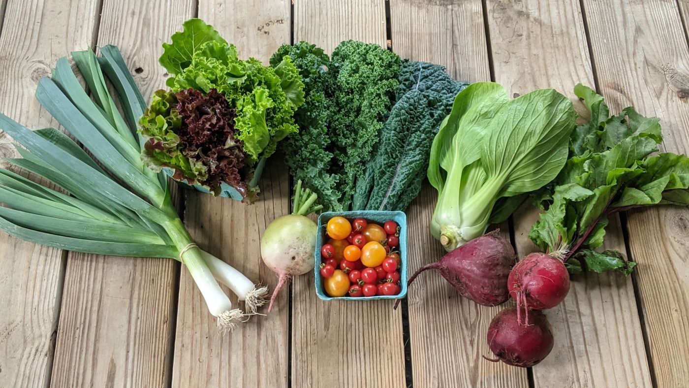 A harvest spread of leeks, kale, tomatoes, and beets